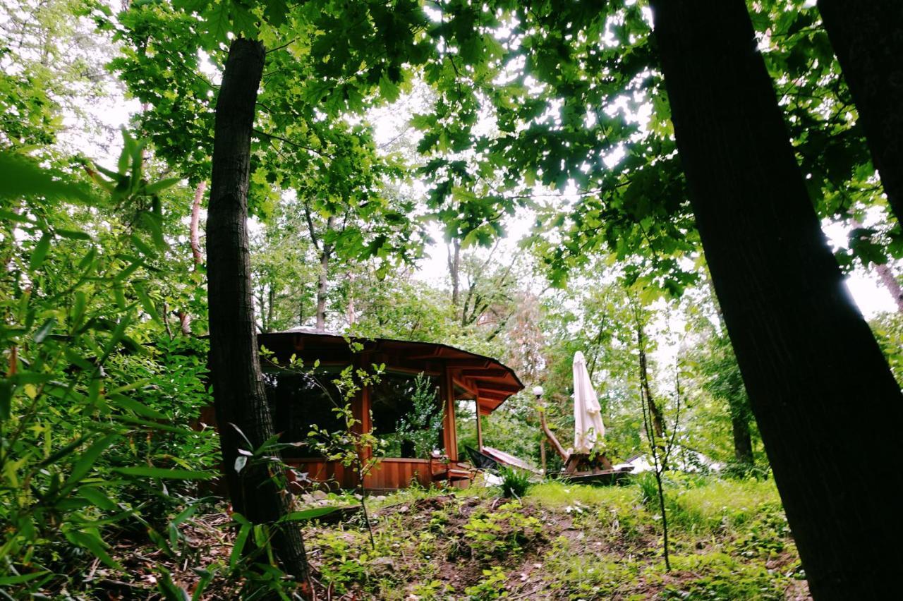 Woeste Hoogte - Groesbeek Extérieur photo