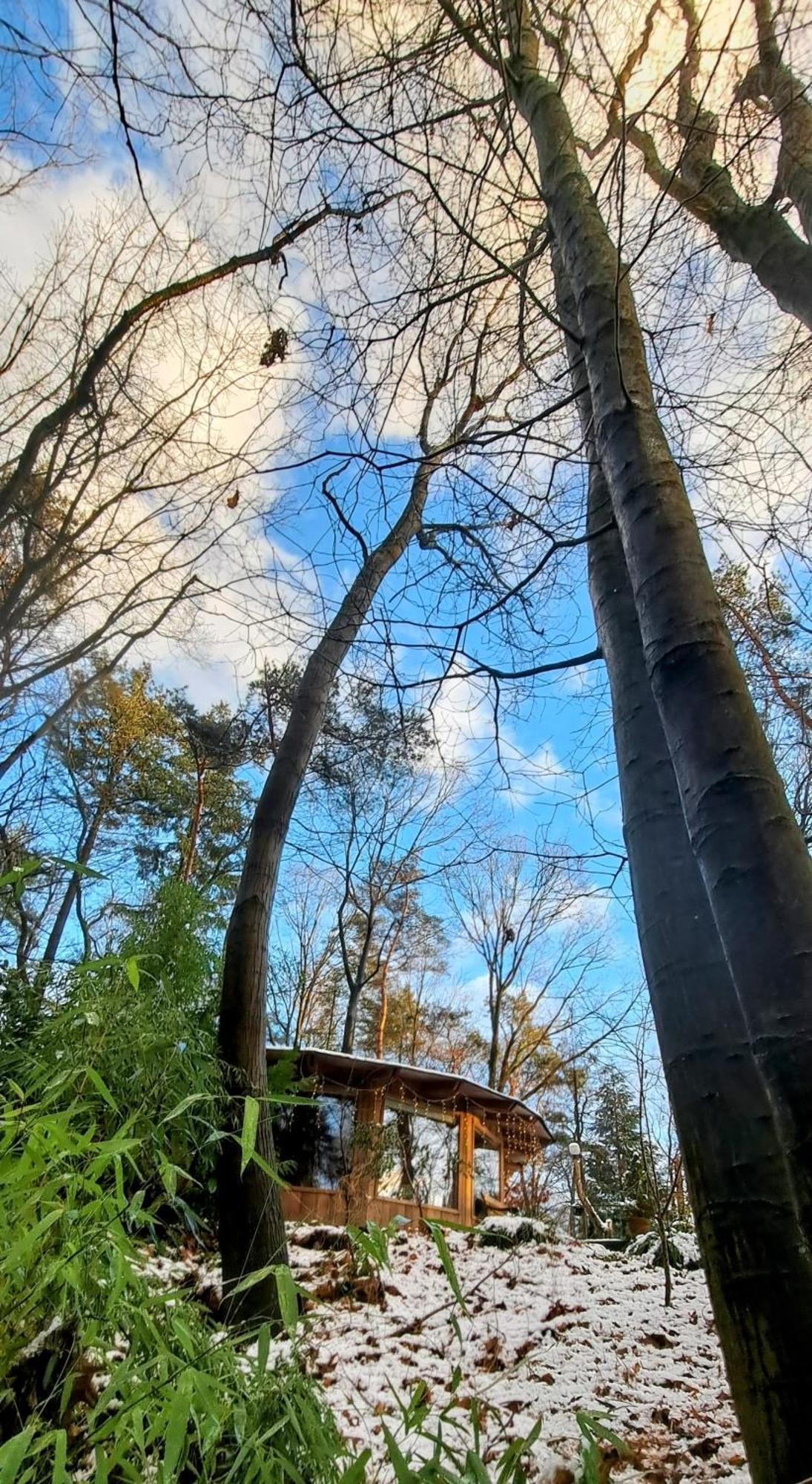 Woeste Hoogte - Groesbeek Extérieur photo